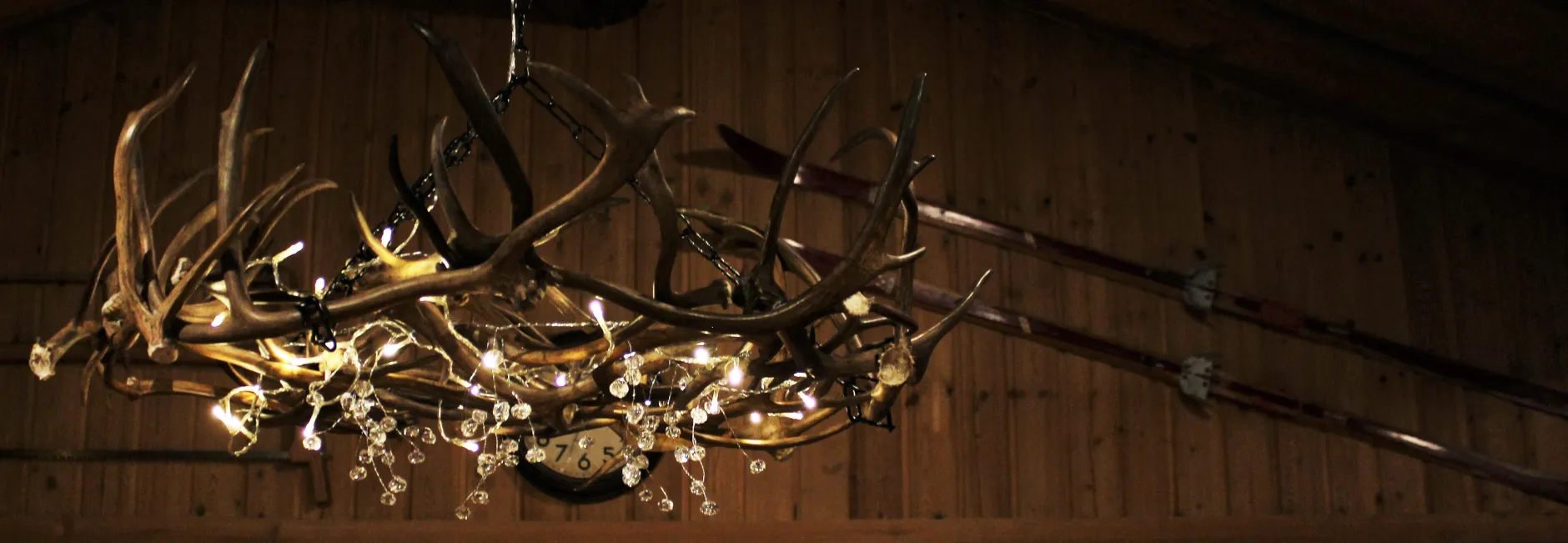 Kelopirtti 21 yksityiskohta